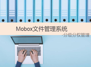 企業(yè)文件管理軟件-實現(xiàn)分級分權文檔安全管控