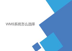 wms系統怎么選擇？